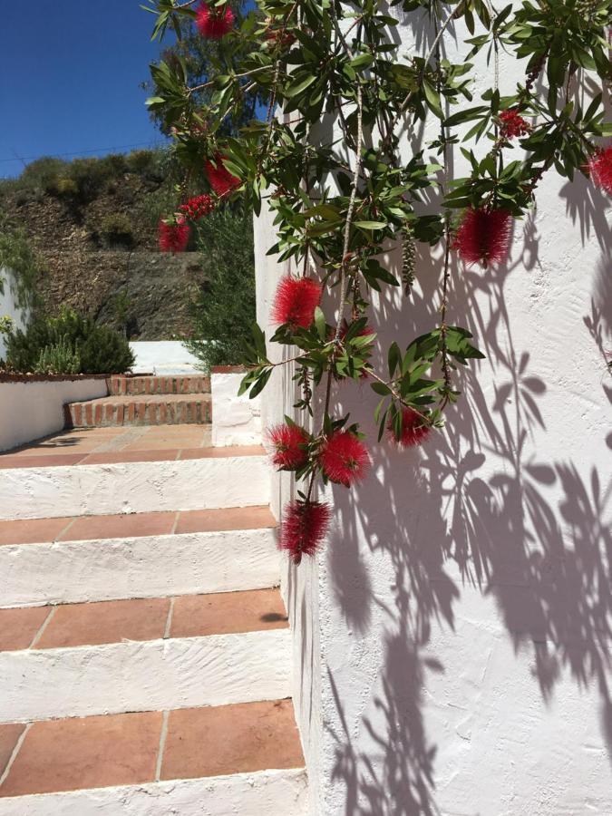 B&B And Apartments Cortijo La Zapatera Canillas de Aceituno Εξωτερικό φωτογραφία