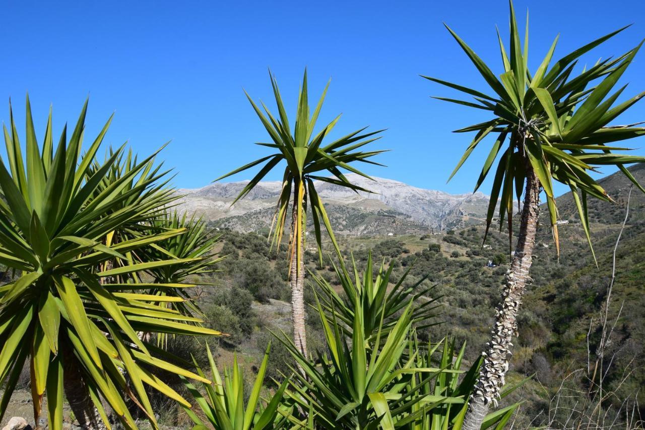 B&B And Apartments Cortijo La Zapatera Canillas de Aceituno Εξωτερικό φωτογραφία