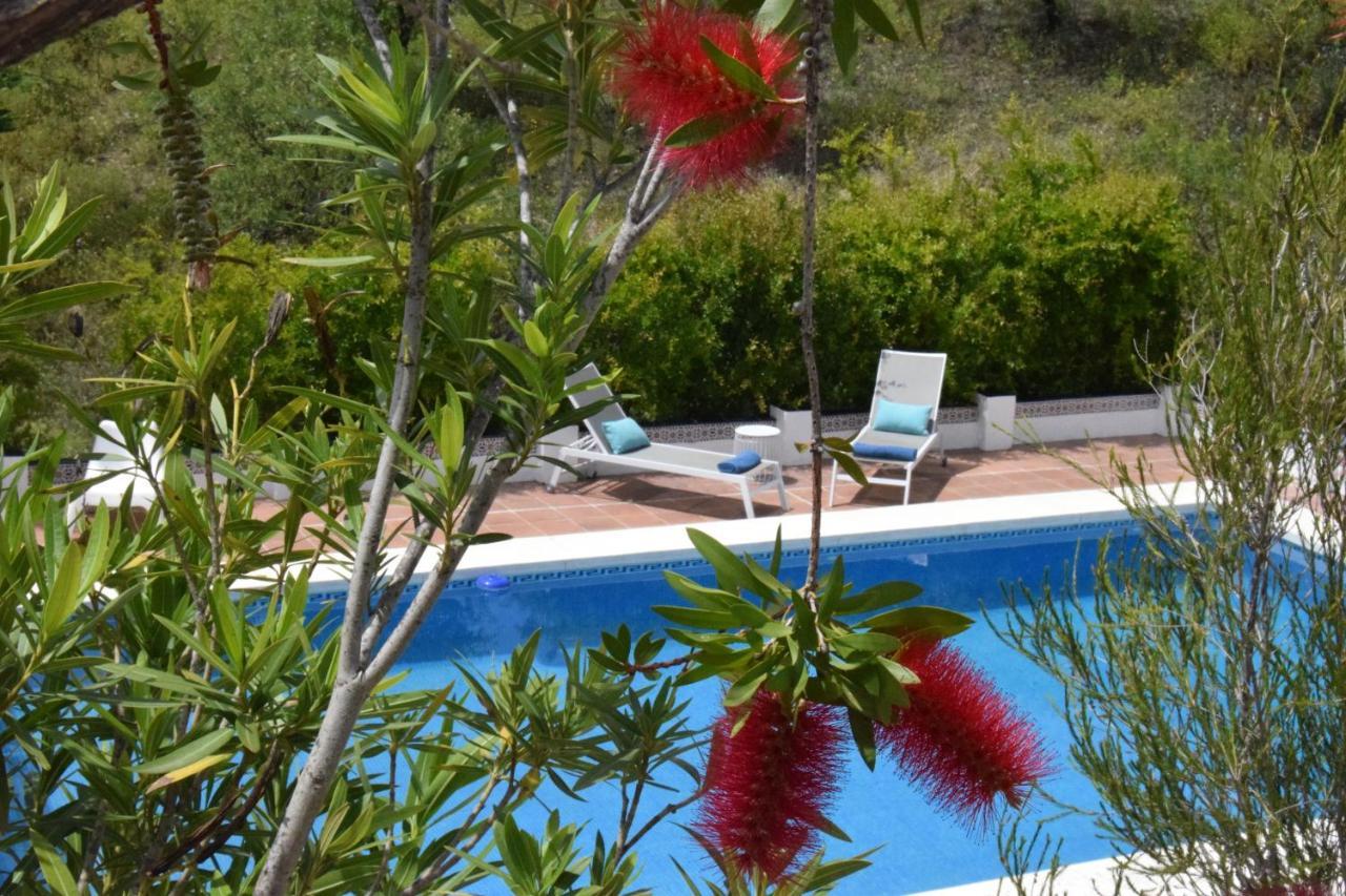 B&B And Apartments Cortijo La Zapatera Canillas de Aceituno Εξωτερικό φωτογραφία
