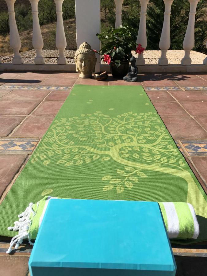 B&B And Apartments Cortijo La Zapatera Canillas de Aceituno Εξωτερικό φωτογραφία