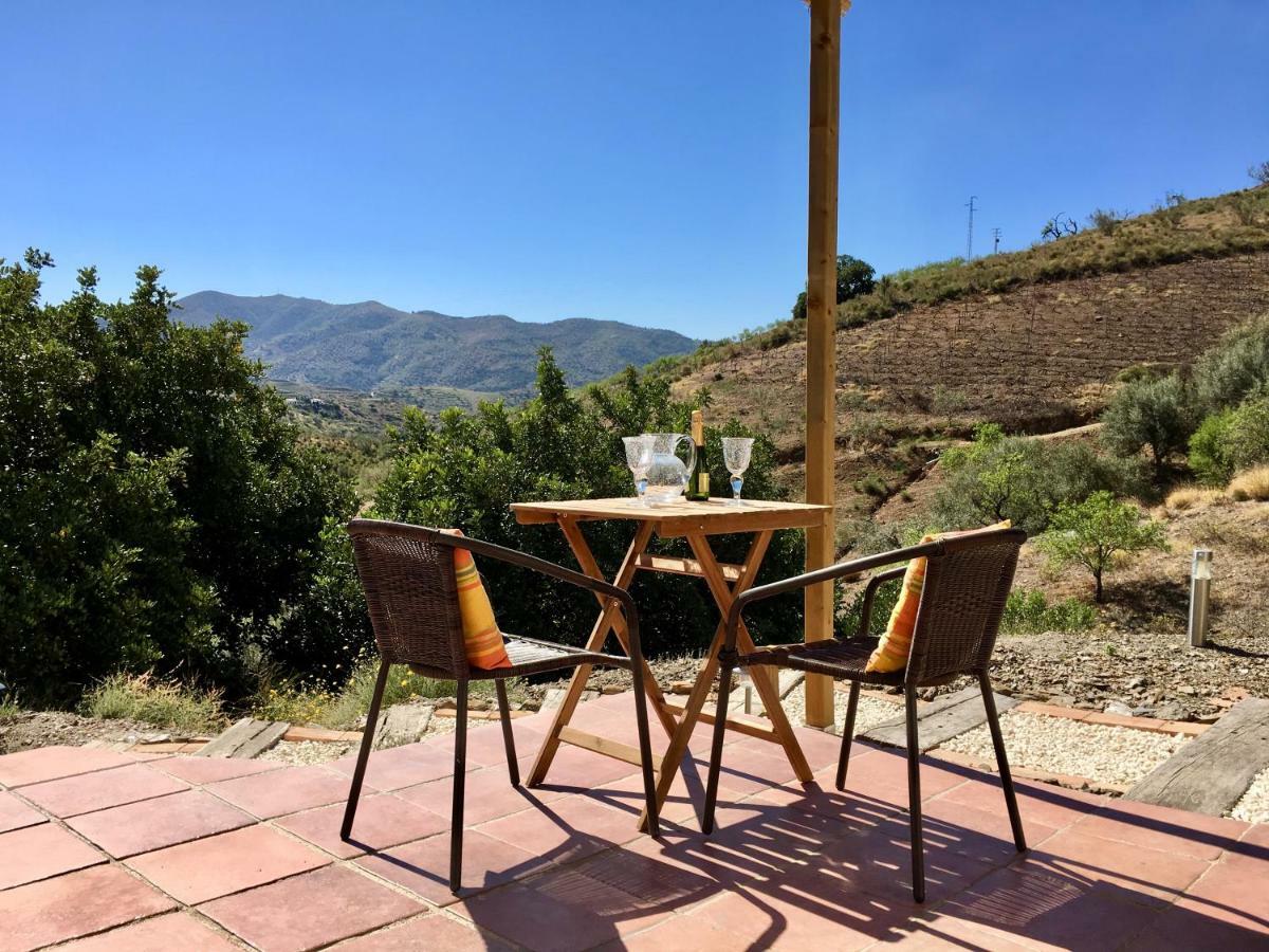 B&B And Apartments Cortijo La Zapatera Canillas de Aceituno Εξωτερικό φωτογραφία