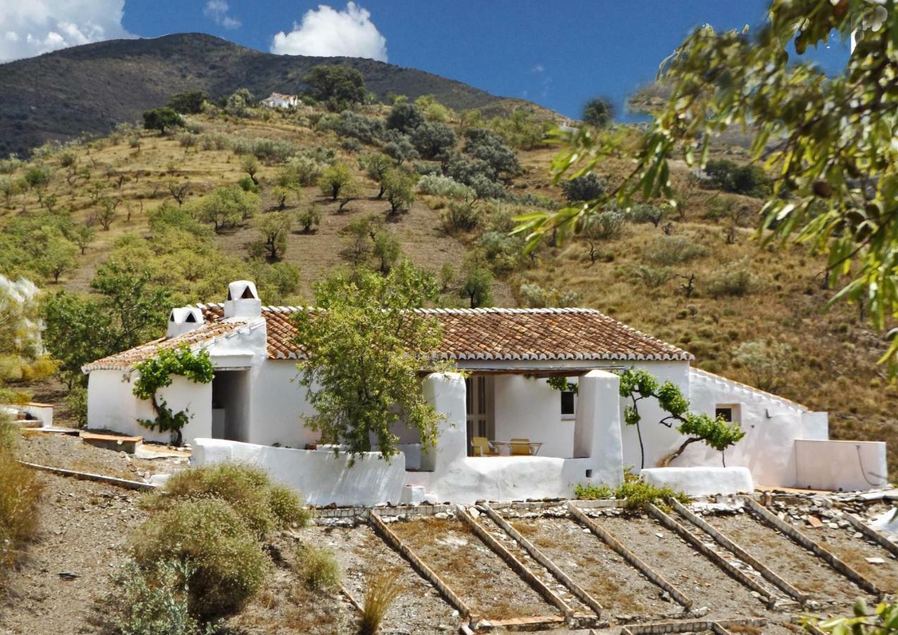 B&B And Apartments Cortijo La Zapatera Canillas de Aceituno Εξωτερικό φωτογραφία